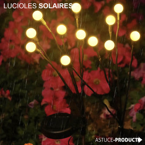 LUCIOLES SOLAIRES™