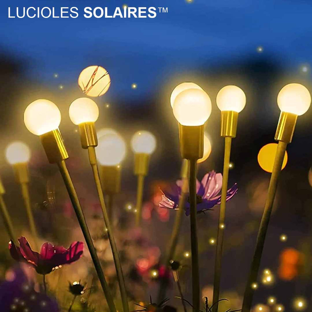 LUCIOLES SOLAIRES™