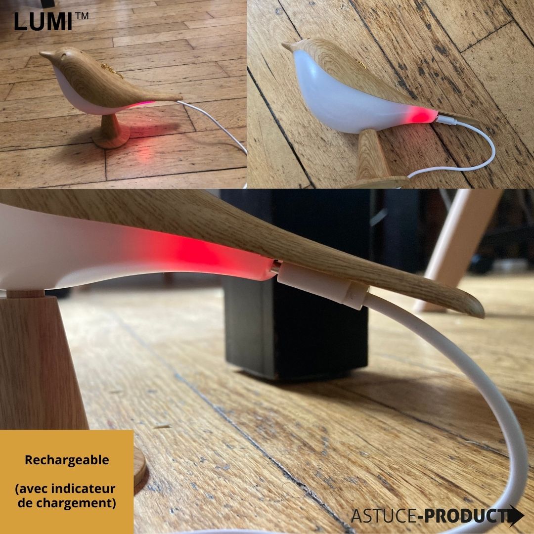 LUMI™ Mésange lumineuse